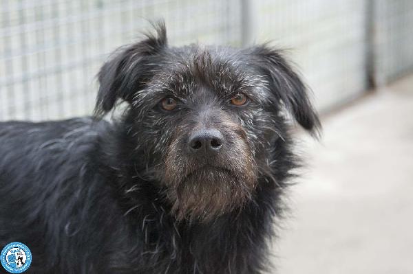 Greta, L’amore Vero Arriva Piano..